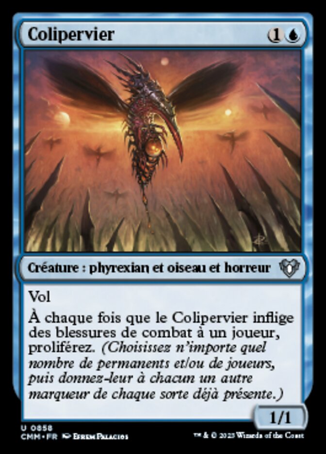 image Colipervier