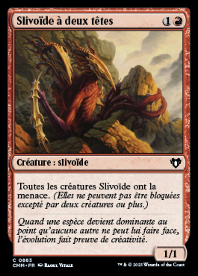image Slivoïde à deux têtes