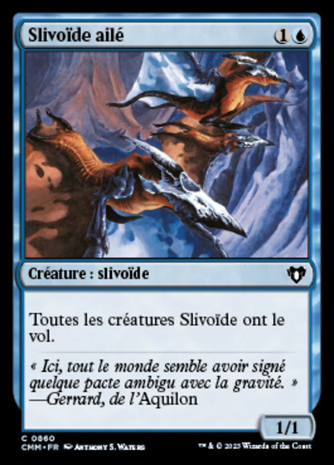 image Slivoïde ailé