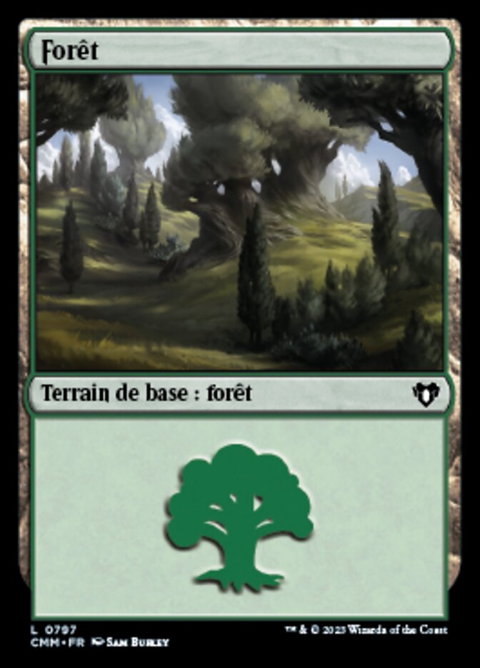 image Forêt