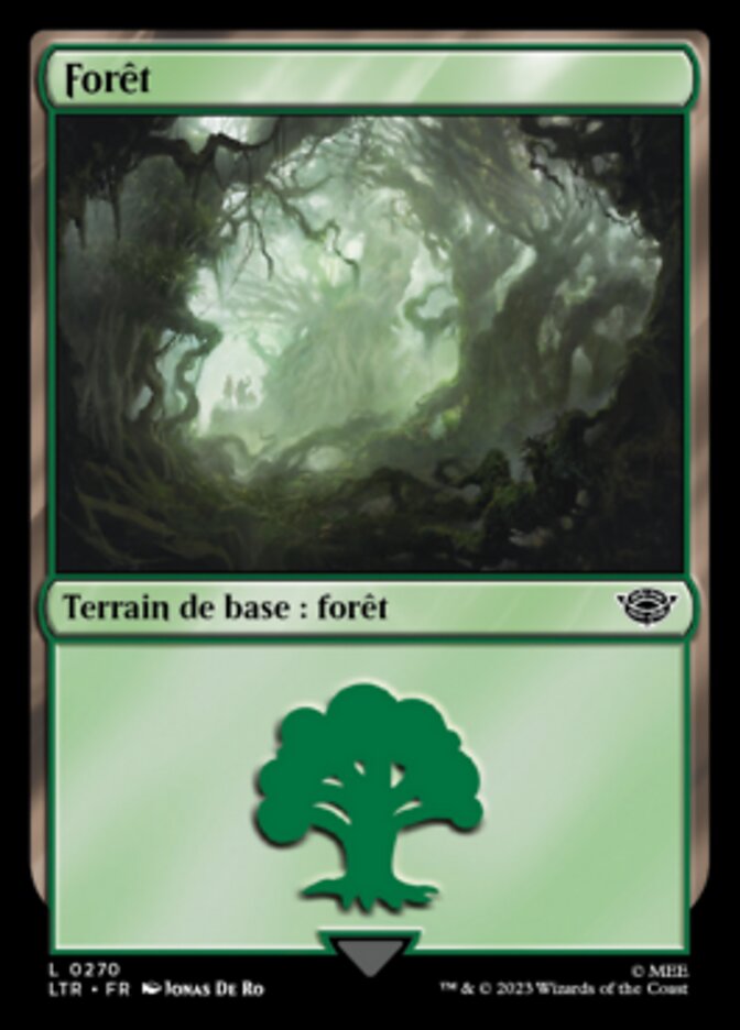 image Forêt
