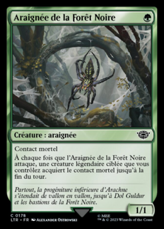 image Araignée de la Forêt Noire