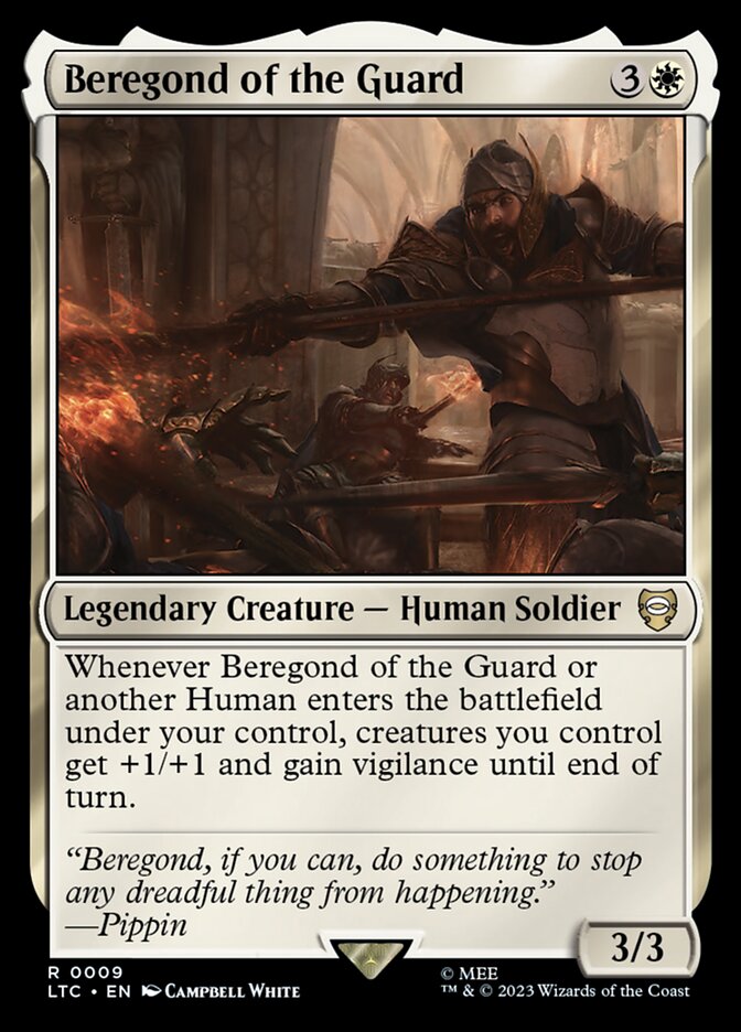 image Beregond of the Guard