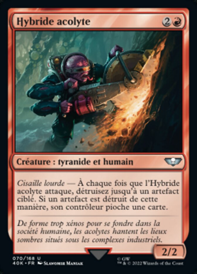 image Hybride acolyte