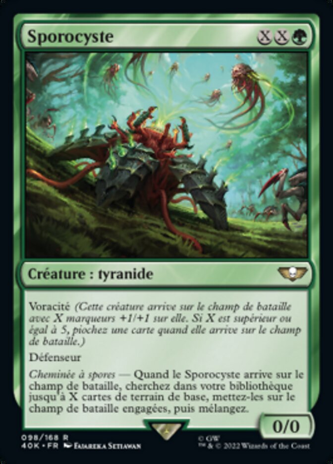 image Sporocyste