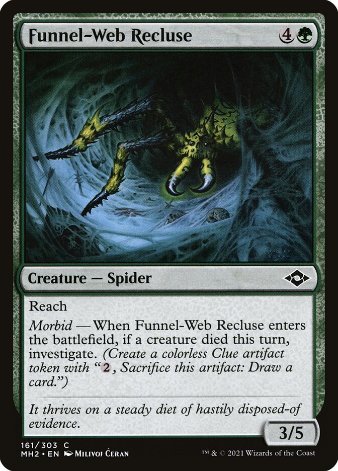 image Funnel-Web Recluse