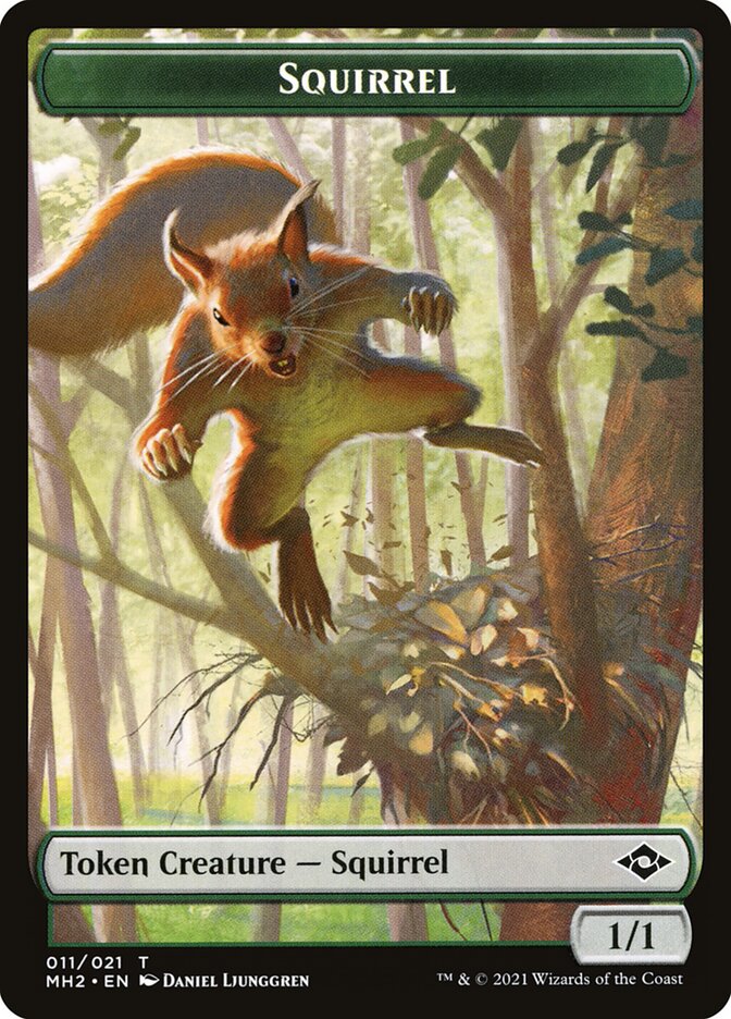 image Squirrel