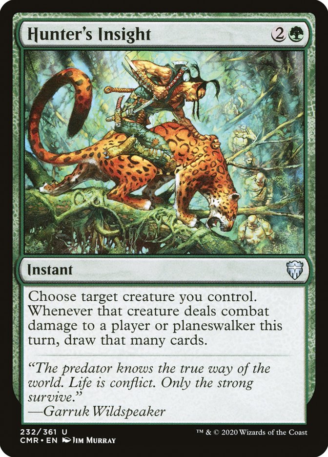 image Hunter's Insight