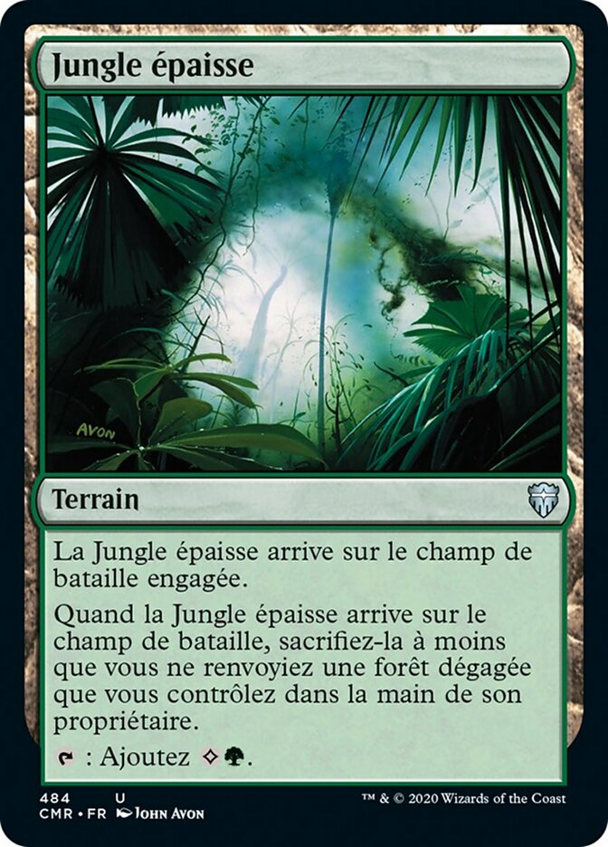 image Jungle épaisse