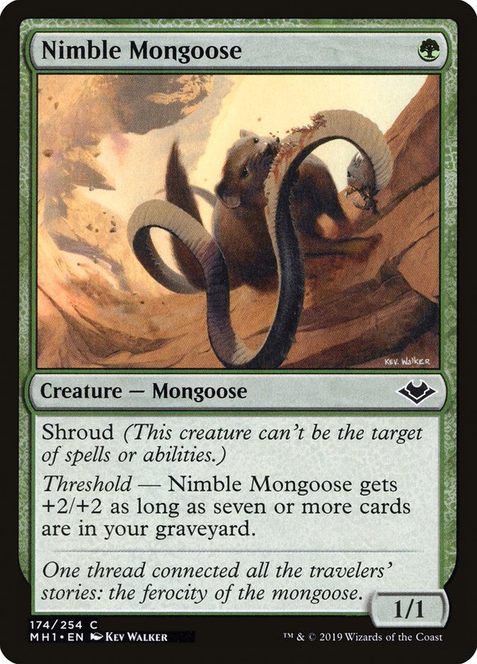image Nimble Mongoose