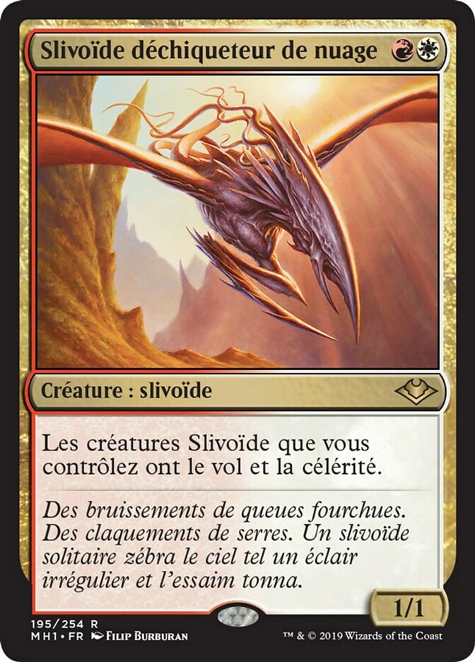 image Slivoïde déchiqueteur de nuage