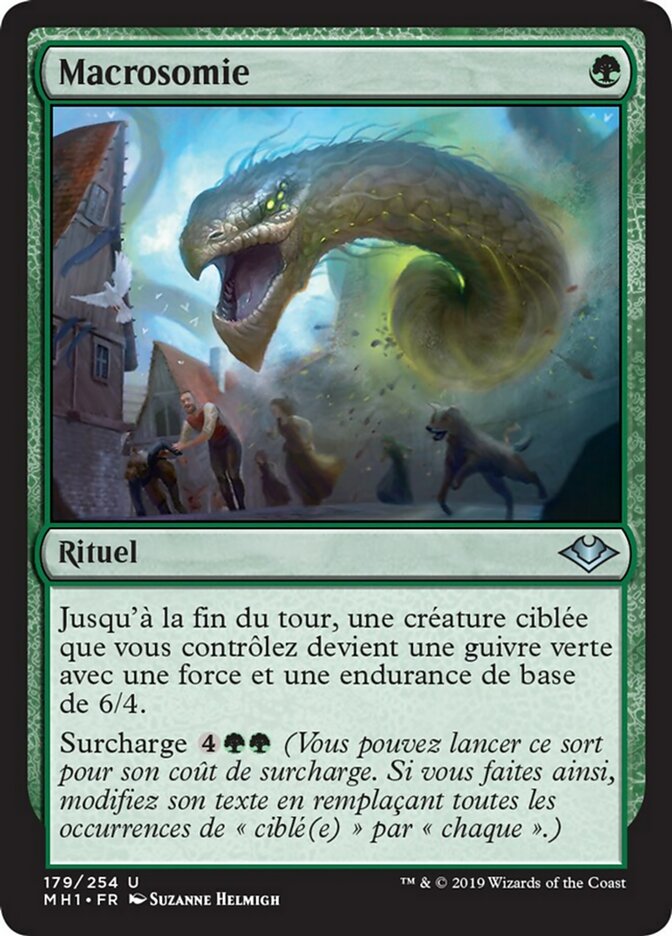 image Macrosomie