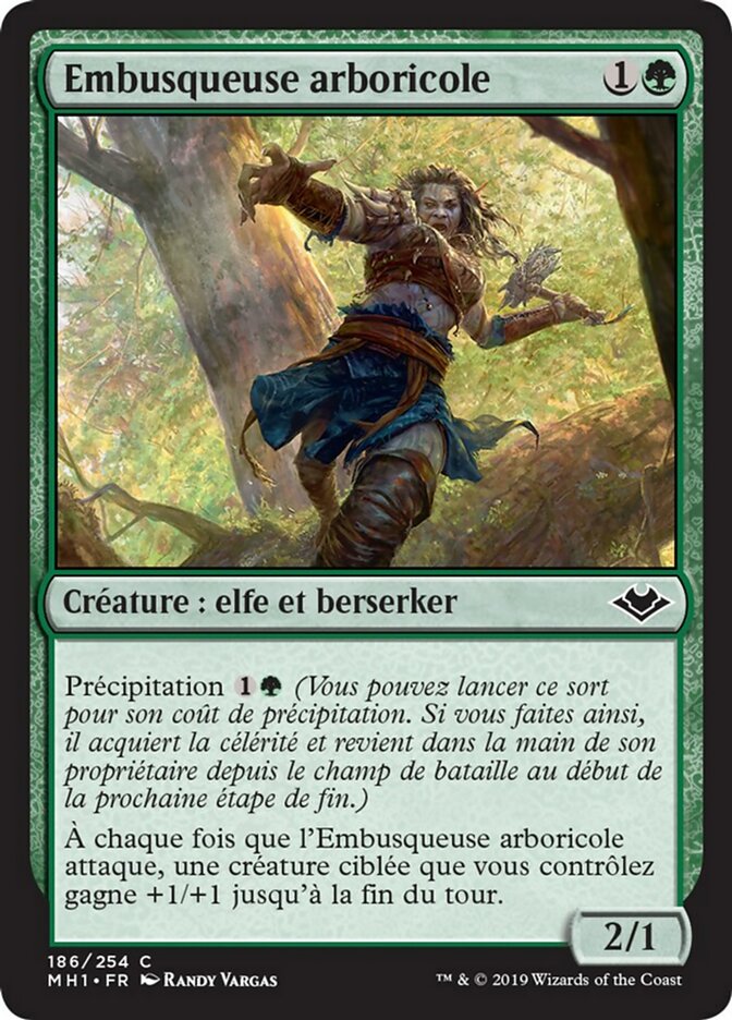 image Embusqueuse arboricole