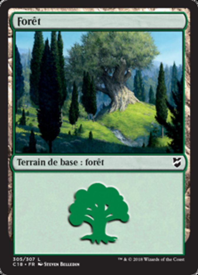 image Forêt