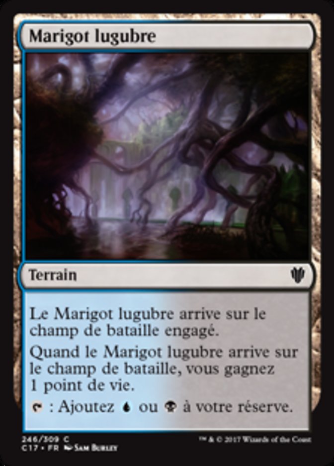 image Marigot lugubre