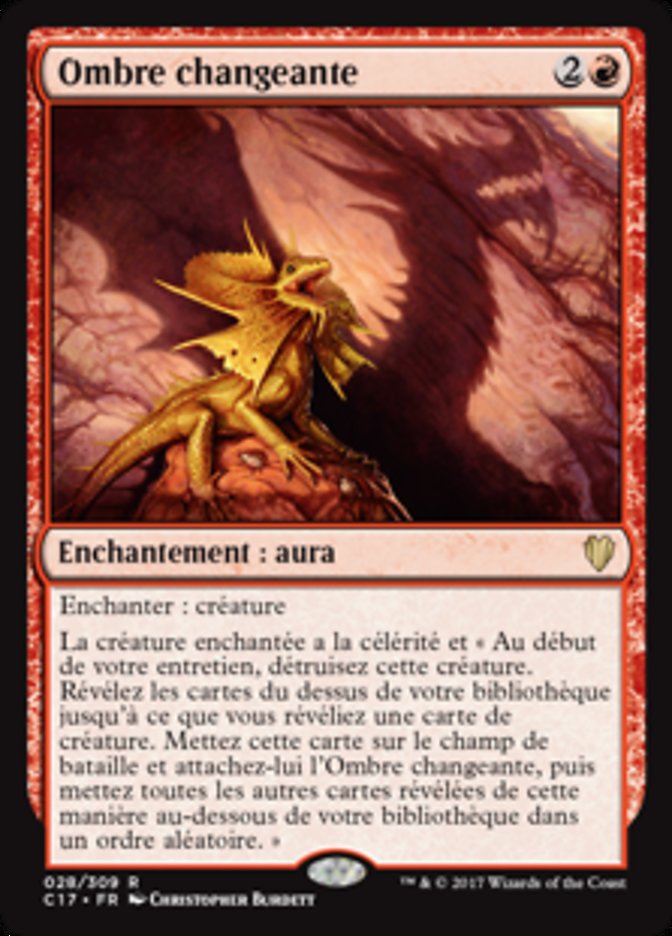 image Ombre changeante