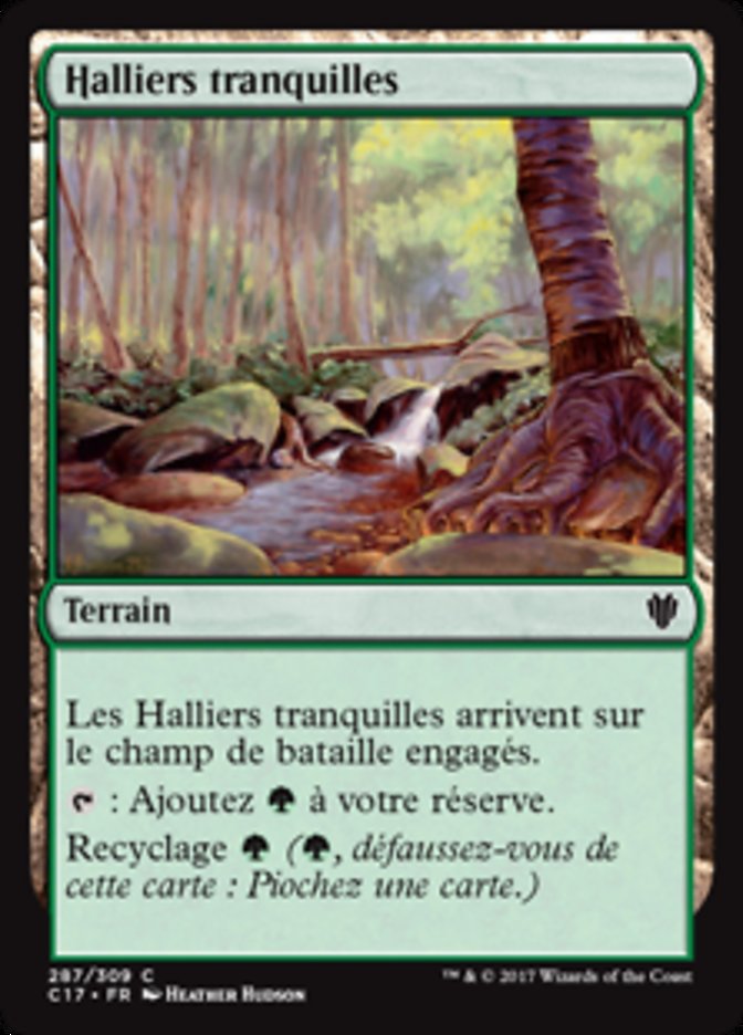 image Halliers tranquilles