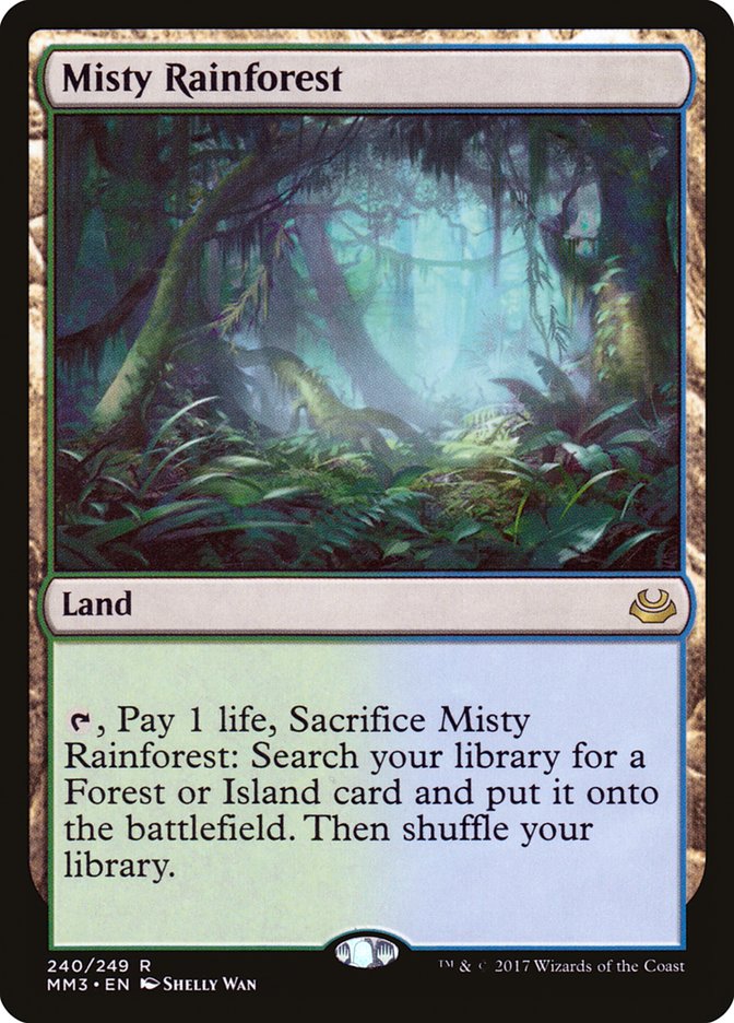 image Misty Rainforest