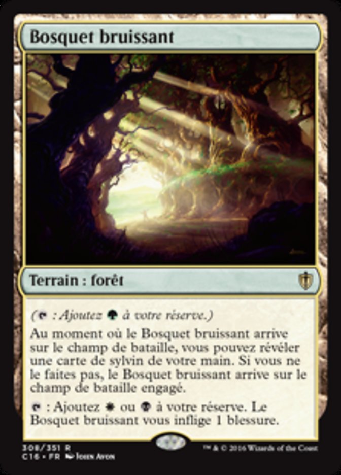 image Bosquet bruissant