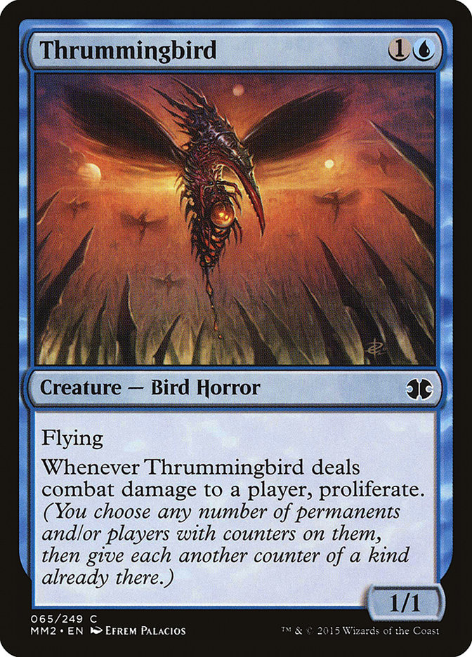 image Thrummingbird