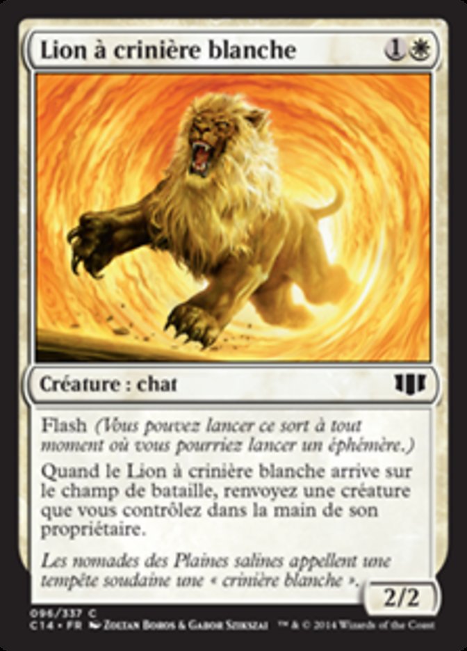 image Lion à crinière blanche