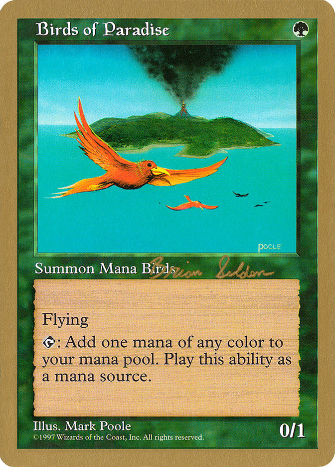 image Birds of Paradise