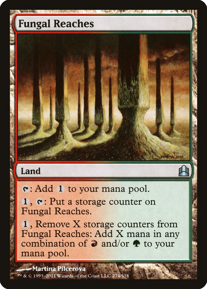 image Fungal Reaches