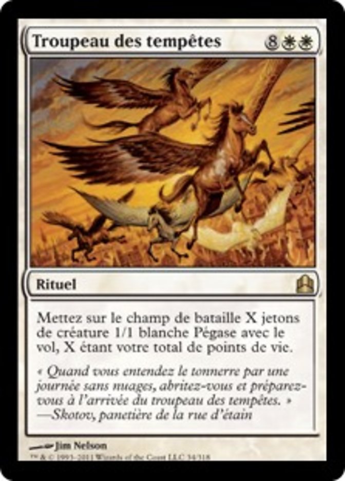 image Troupeau des tempêtes