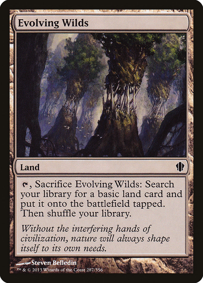 image Evolving Wilds