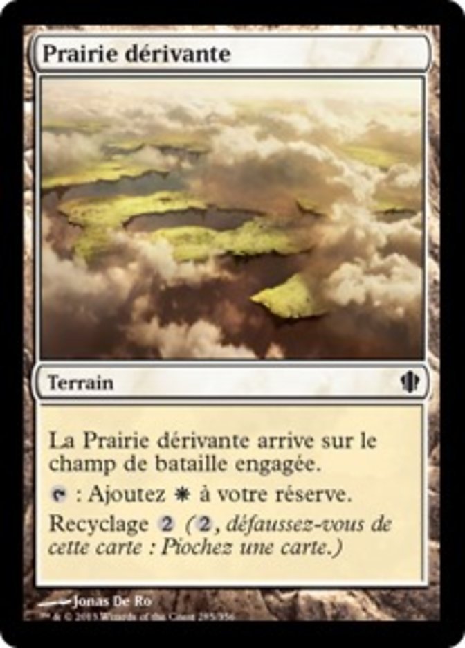 image Prairie dérivante