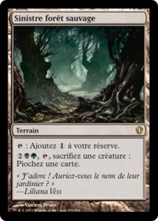 image Sinistre forêt sauvage