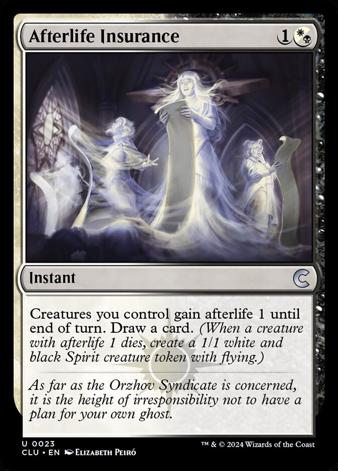 image Afterlife Insurance