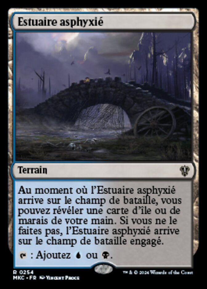 image Estuaire asphyxié