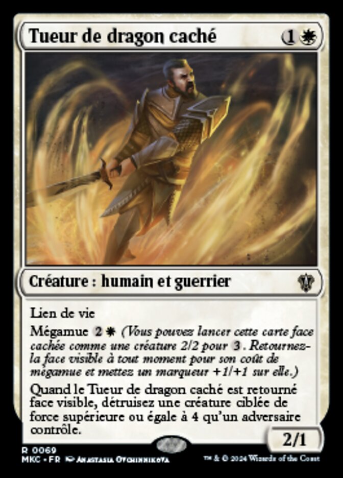 image Tueur de dragon caché