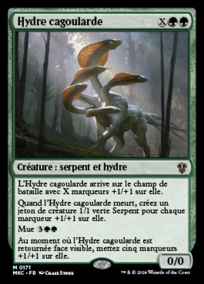 image Hydre cagoularde