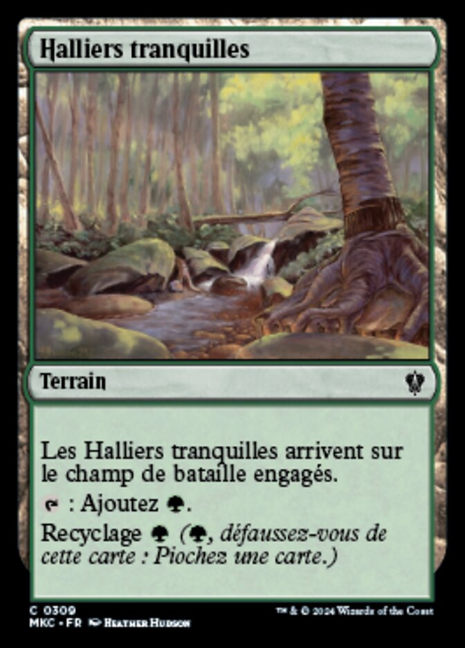 image Halliers tranquilles