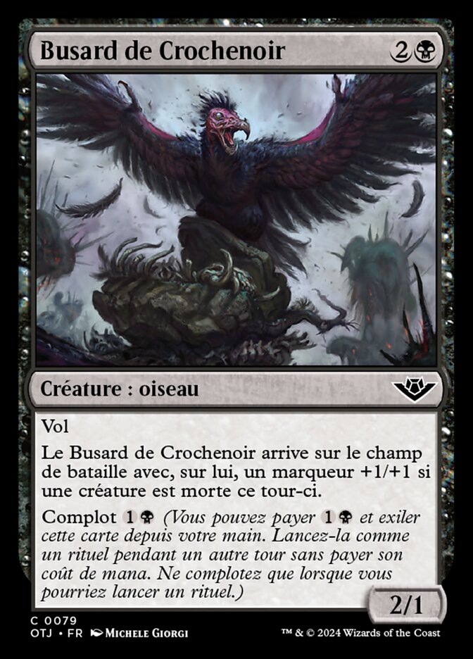 image Busard de Crochenoir