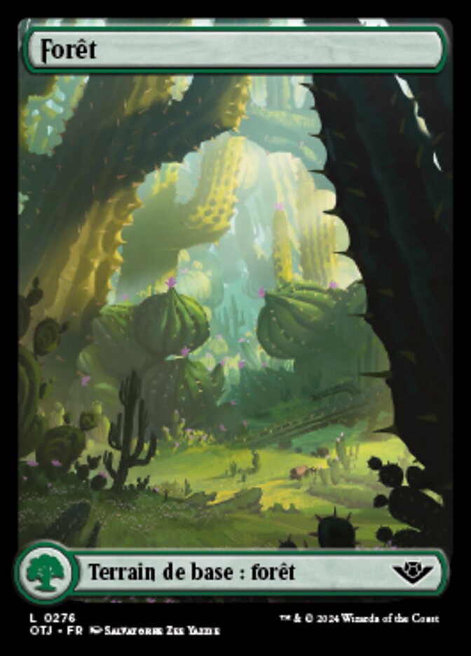 image Forêt