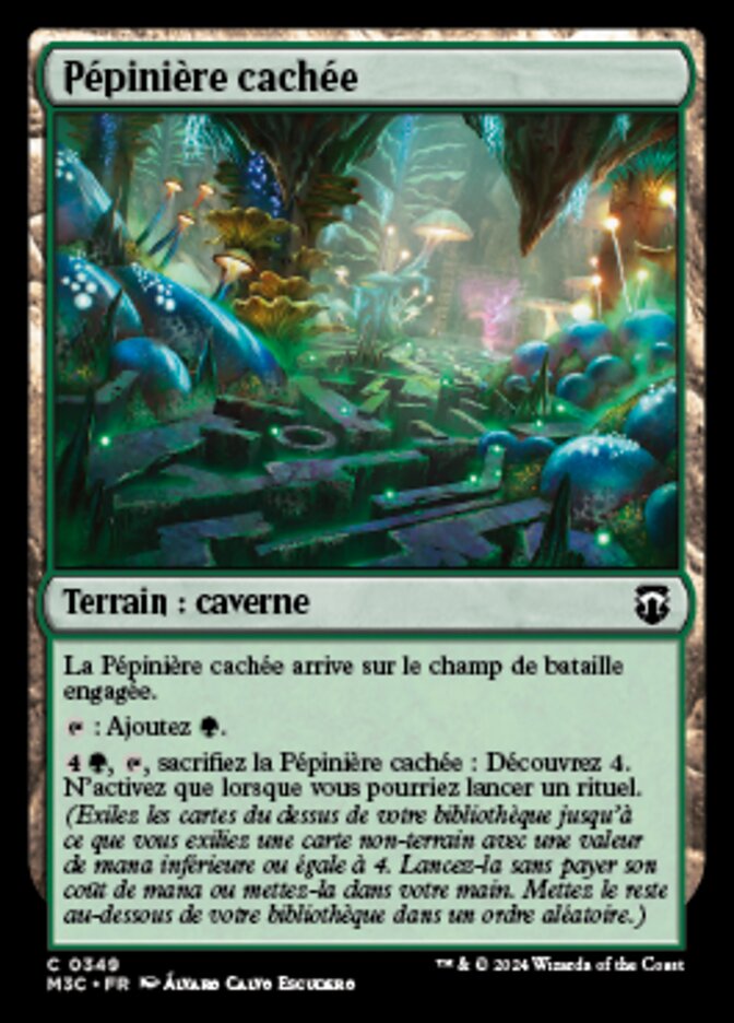 image Pépinière cachée