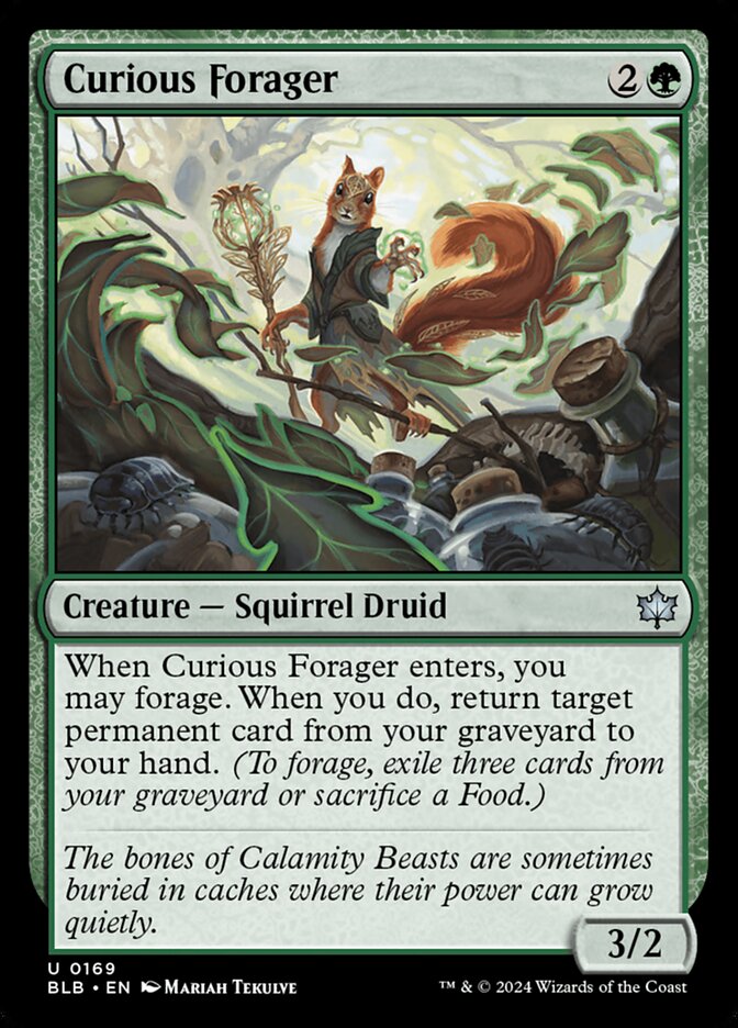 image Curious Forager