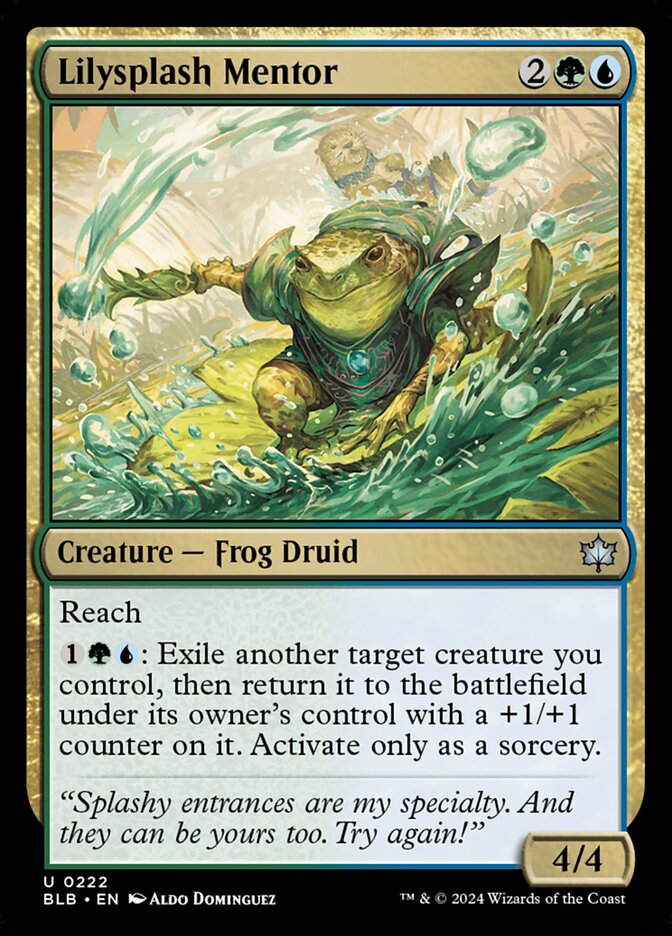 image Lilysplash Mentor