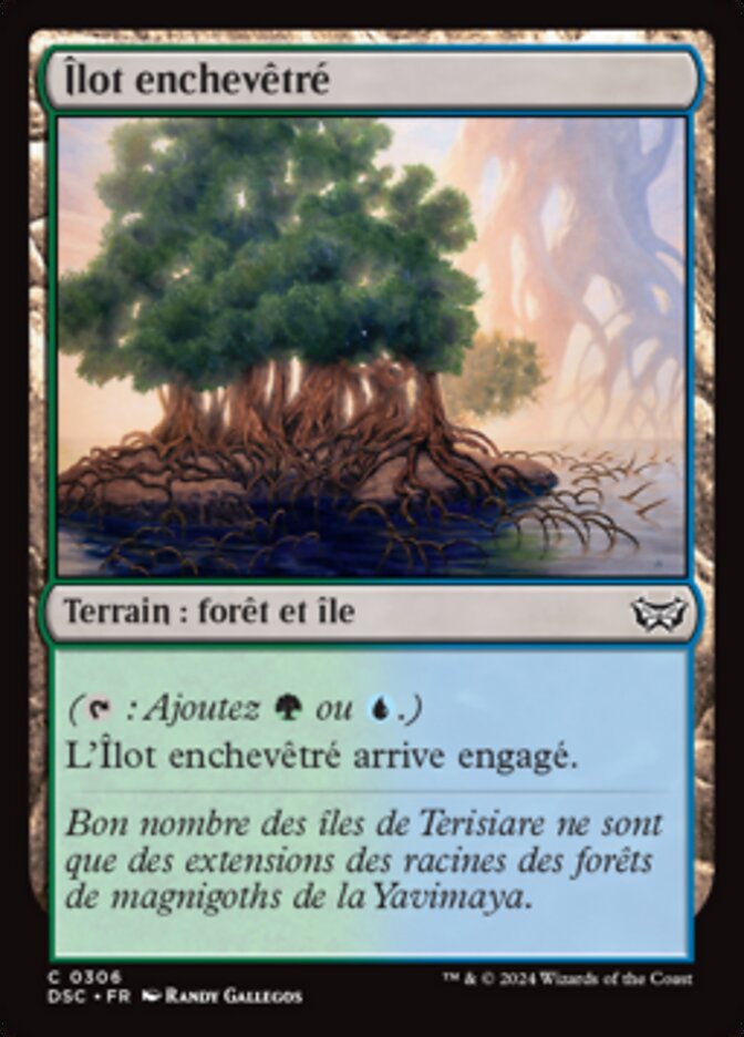 image Îlot enchevêtré