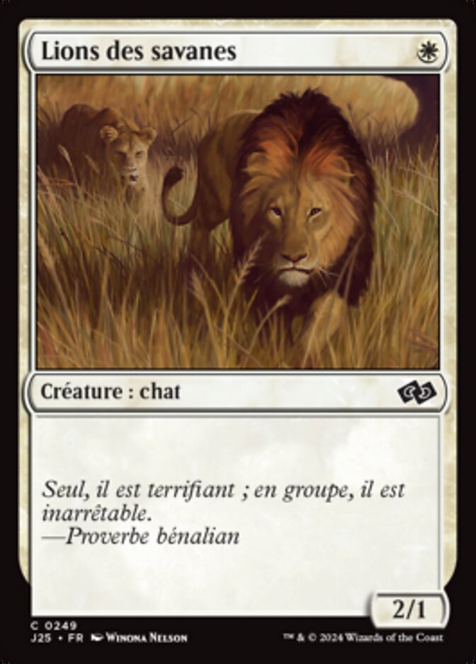 image Lions des savanes