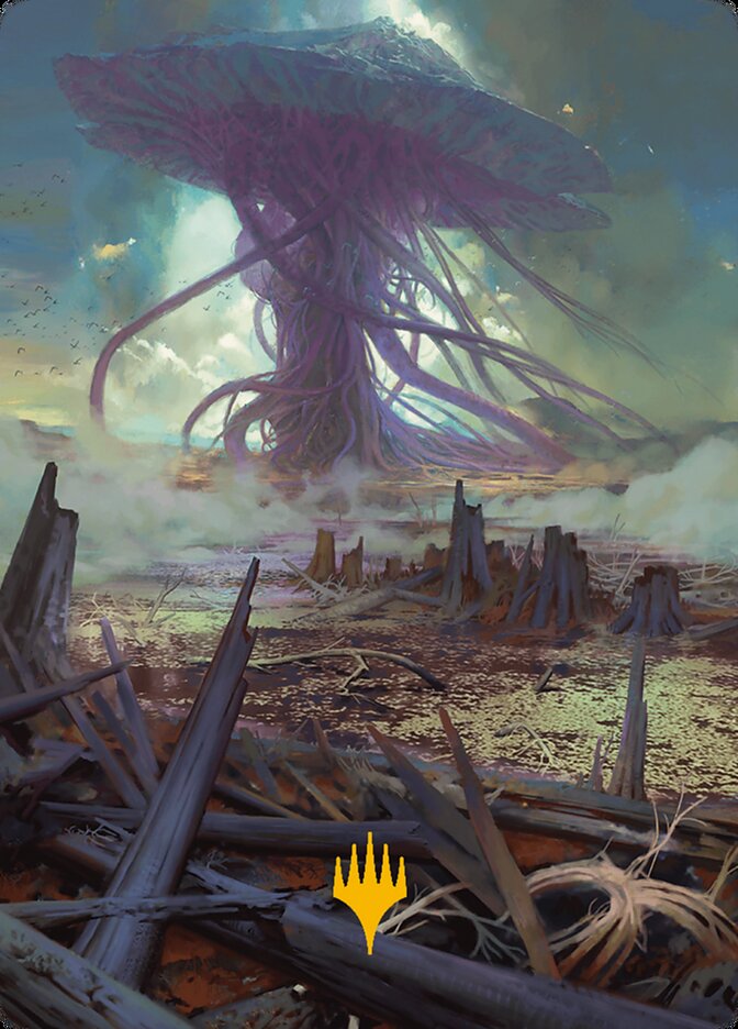 image Swamp // Swamp