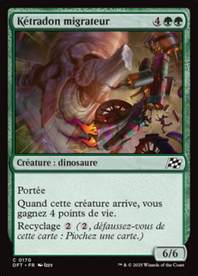 image Kétradon migrateur