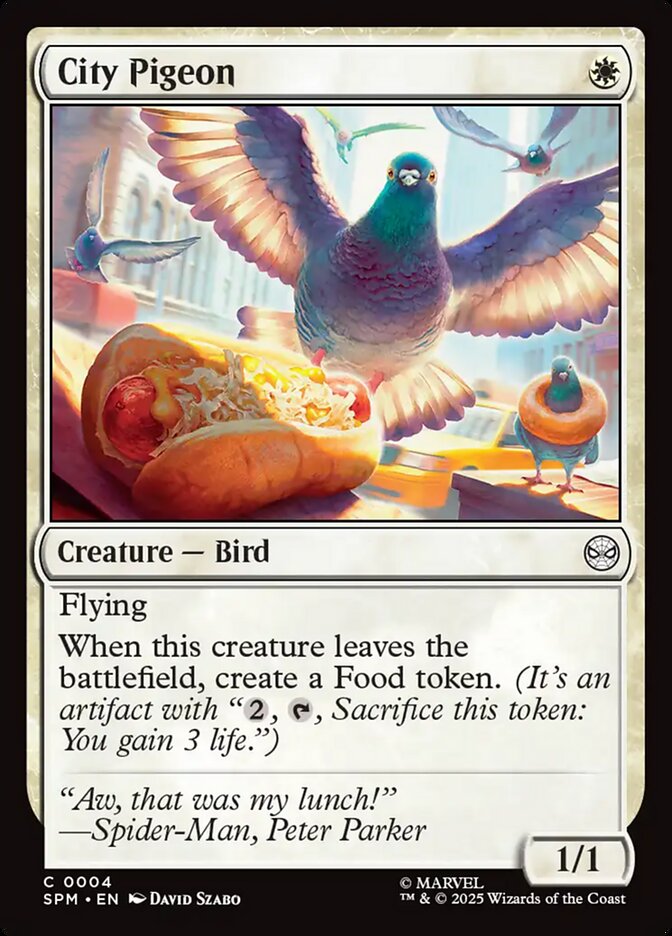 image City Pigeon