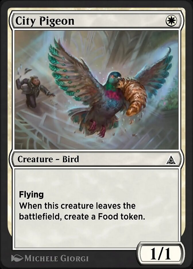 image City Pigeon