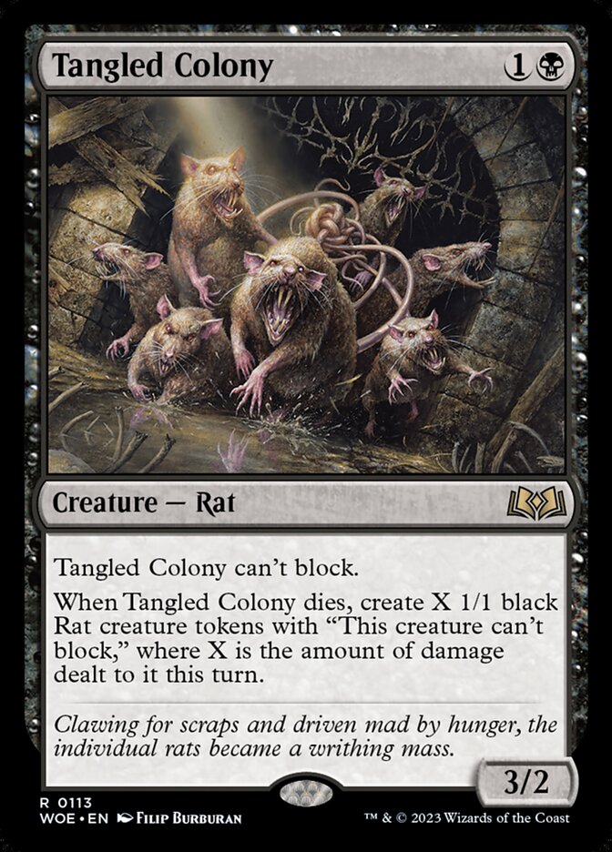 image Tangled Colony