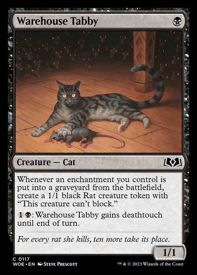 image Warehouse Tabby