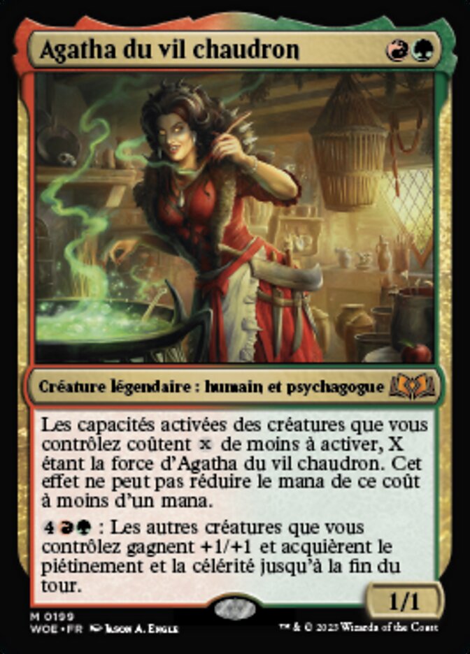 image Agatha du vil chaudron